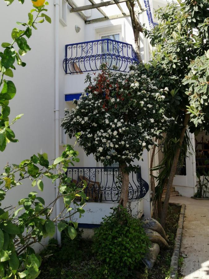 Serhan Hotel Gümbet Extérieur photo