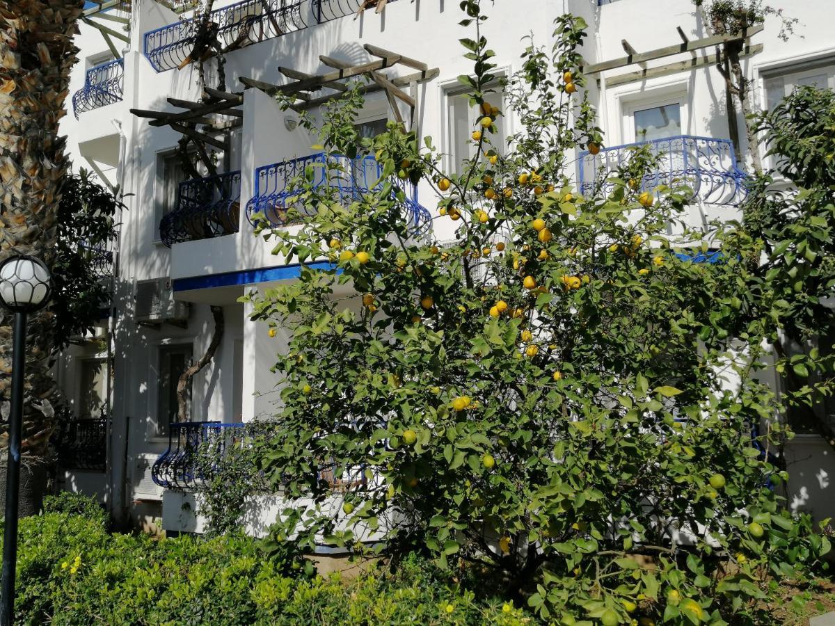 Serhan Hotel Gümbet Extérieur photo